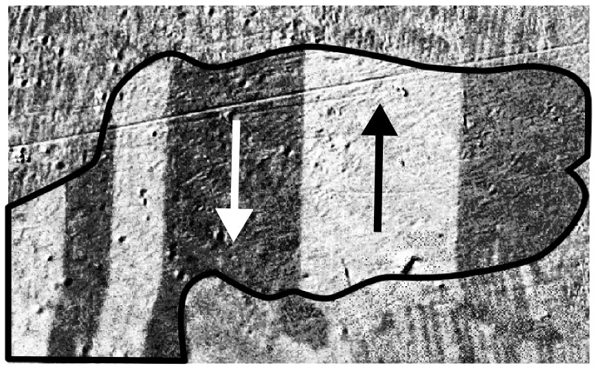 Micrografía en blanco y negro de un grano de acero eléctrico dividido en franjas claras y oscuras alternas, con flechas superpuestas que indican el sentido de la magnetización de cada franja.