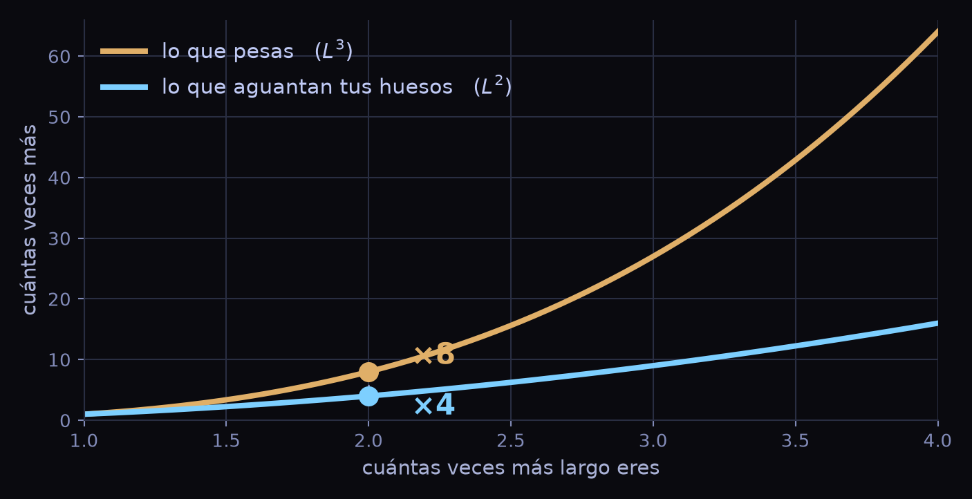 Dos curvas: el peso creciendo como el cubo del tamaño y la resistencia como el cuadrado. Al doblar el tamaño, marcadas las etiquetas por ocho y por cuatro.
