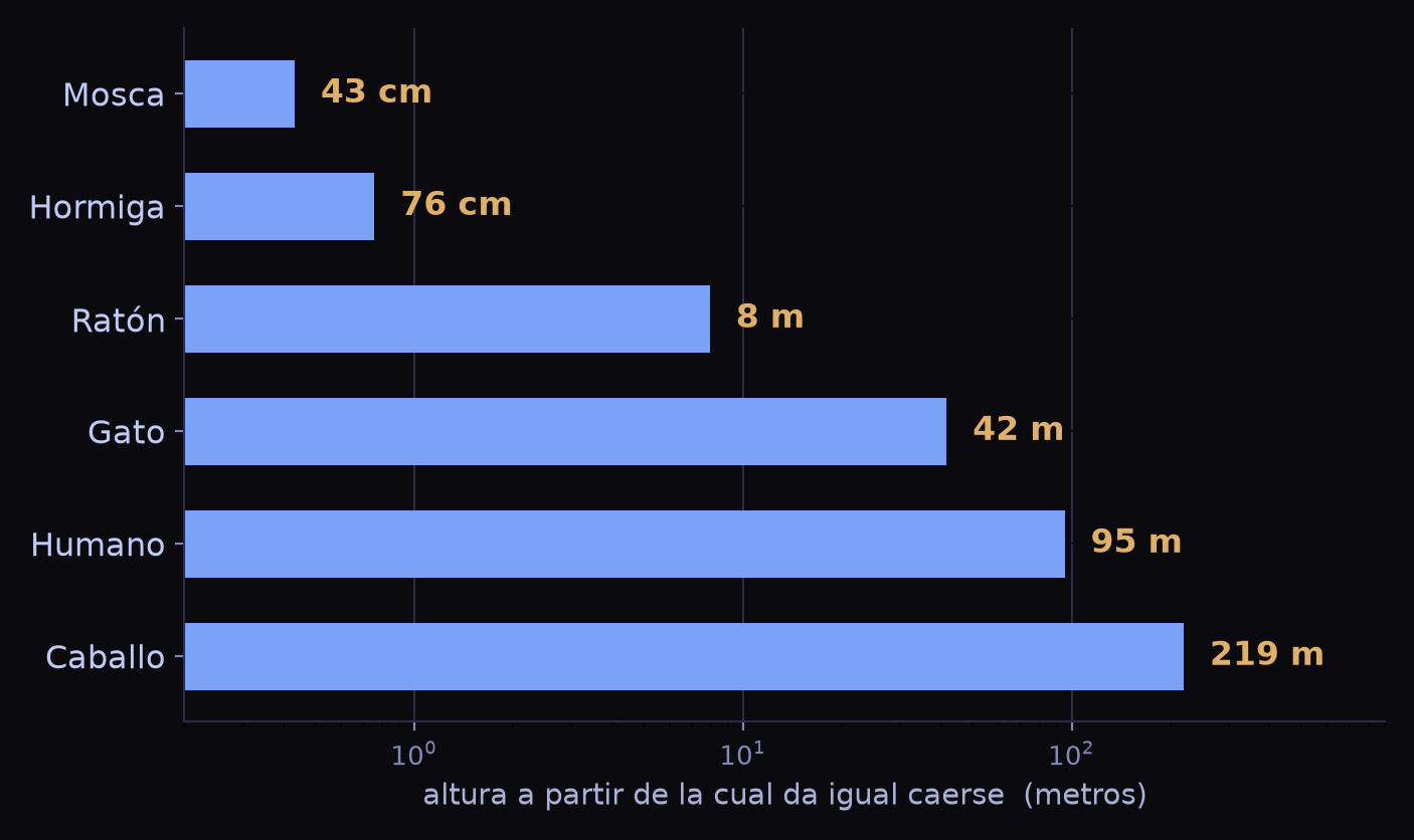 Barras horizontales en escala logarítmica con la altura característica de seis animales: 43 centímetros la mosca, 76 la hormiga, 8 metros el ratón, 42 el gato, 95 el humano y 219 el caballo.